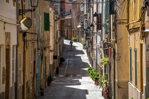 DSC_7772.jpg