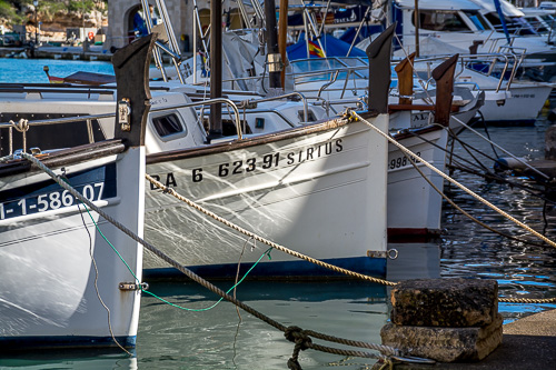 DSC_7799.jpg