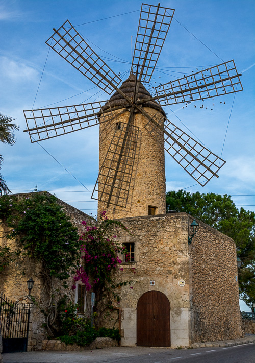 DSC_7902.jpg