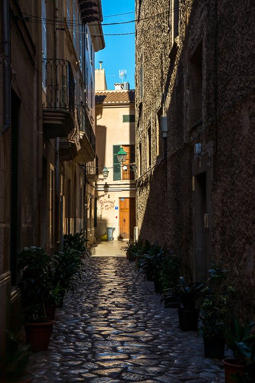 DSC_8145.jpg
