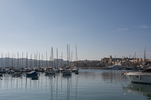 dsc_1000.jpg