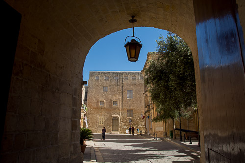 dsc_1017.jpg