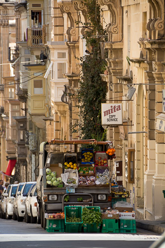dsc_1131.jpg