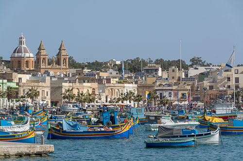 dsc_1237.jpg