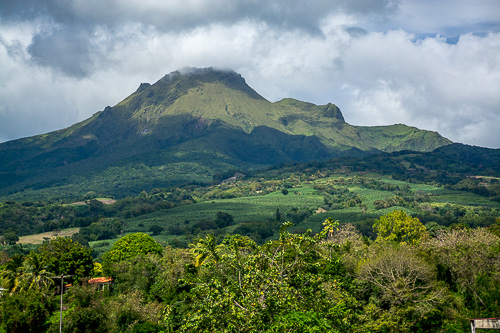DSC_9287.jpg