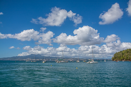 DSC_9504.jpg