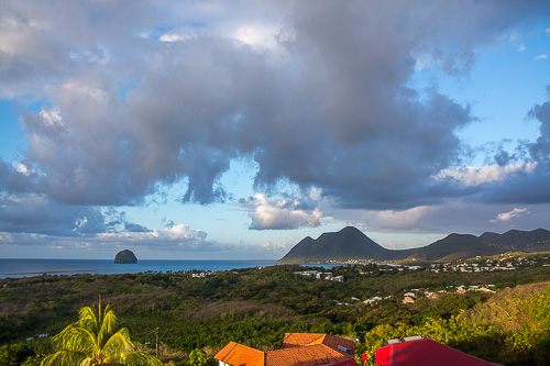 DSC_9532.jpg