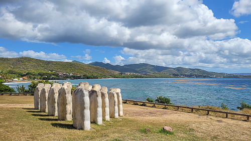DSC_9540_20260222_103312.jpg