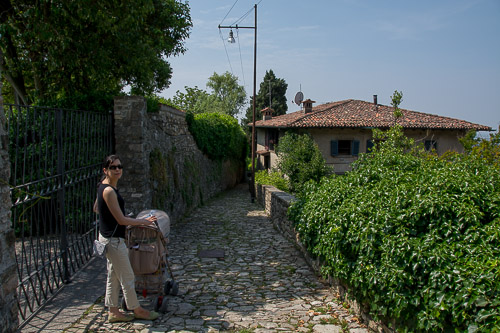 dsc_1482.jpg