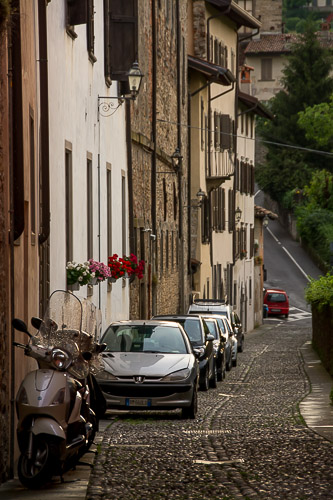 dsc_1653.jpg