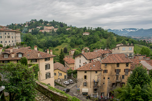 dsc_1918.jpg