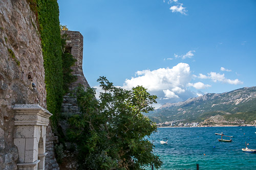 dsc_6020.jpg