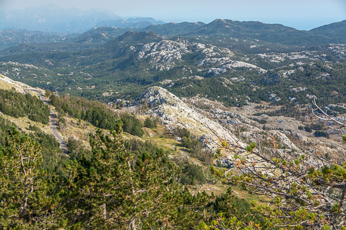 dsc_6051.jpg