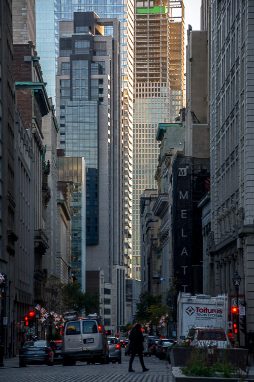 DSC_6959.jpg