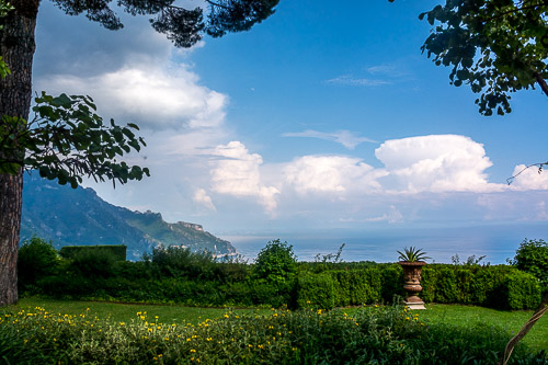 DSC_09877.jpg
