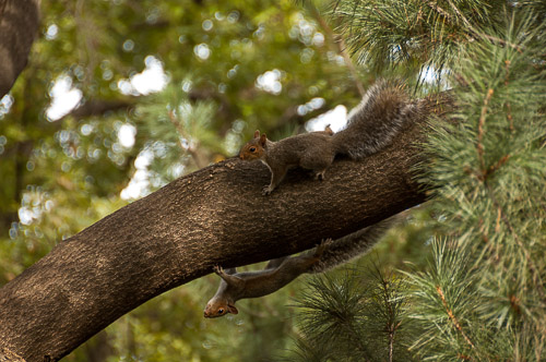 dsc_9285.jpg