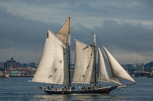 dsc_9601.jpg