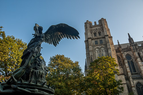 dsc_9866.jpg