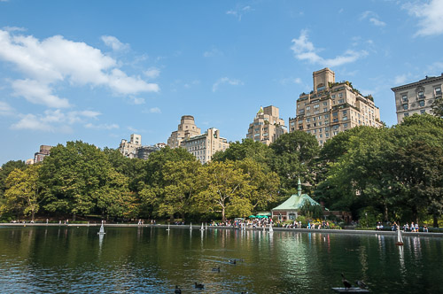 dsd_0005.jpg