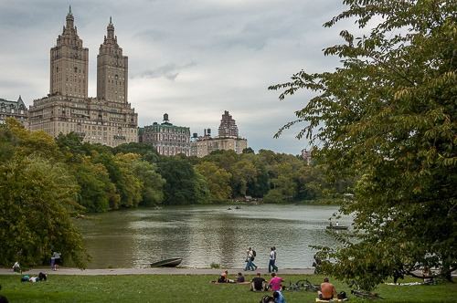 dsd_0011.jpg