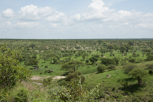 dsc_1393.jpg