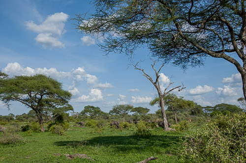 dsc_1571.jpg