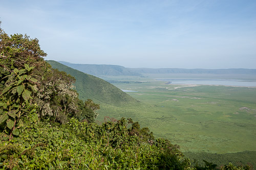 dsc_1588.jpg