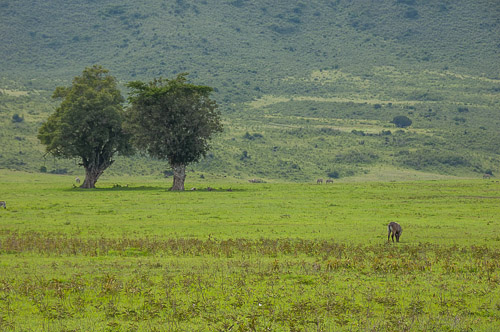 dsc_1756.jpg