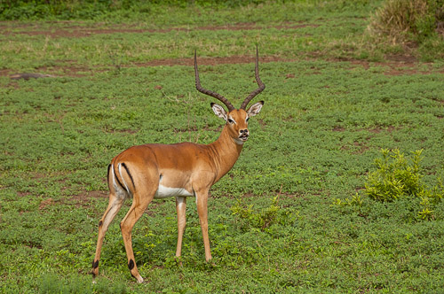 dsc_1799.jpg
