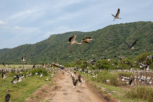 dsc_1842.jpg