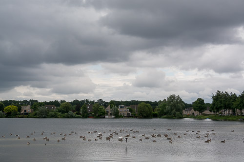 dsc_1964.jpg