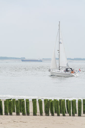 dsc_2049.jpg