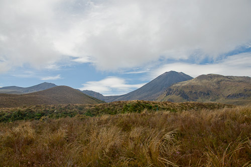 dsc_20237-3.jpg