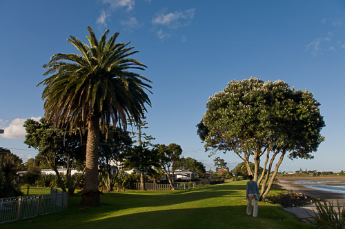 dsc_20404.jpg