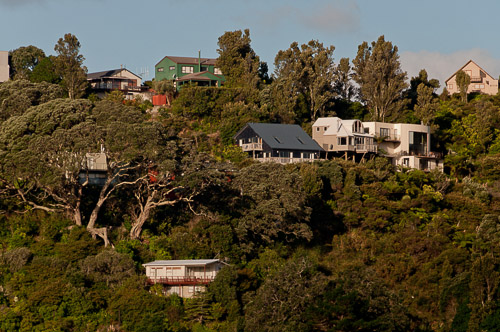 dsc_20405.jpg
