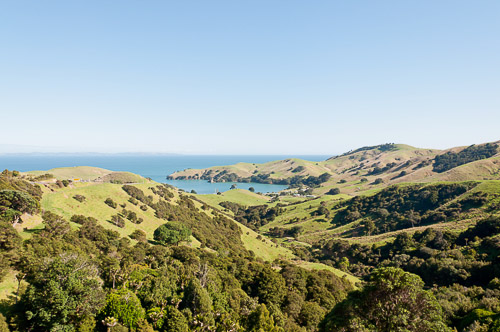 dsc_30119-3.jpg