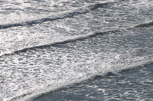 dsc_30165.jpg