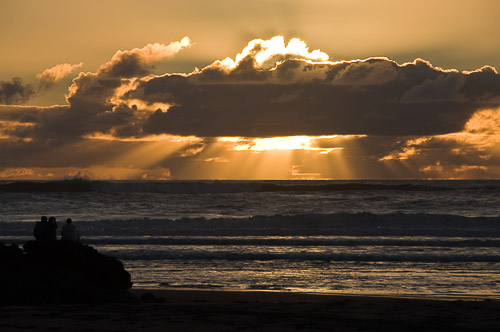 dsc_30242.jpg