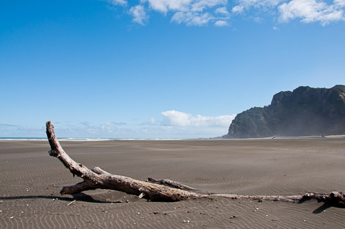 dsc_30299-3.jpg