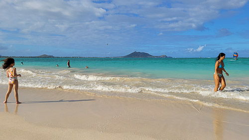 DSC_7755_20240221_160855.jpg