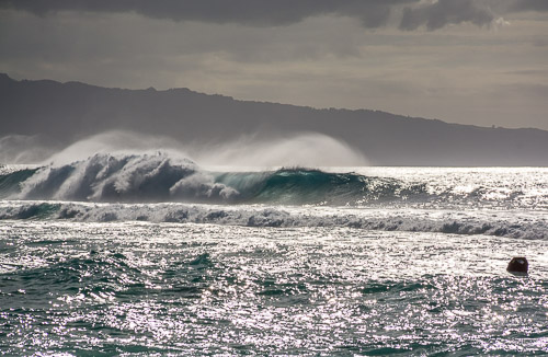 DSC_7959.jpg