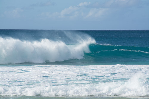 DSC_7993.jpg