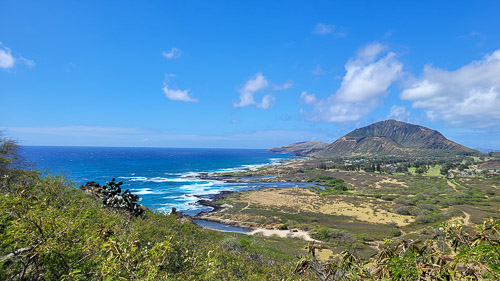 DSC_8146_20240223_111532.jpg