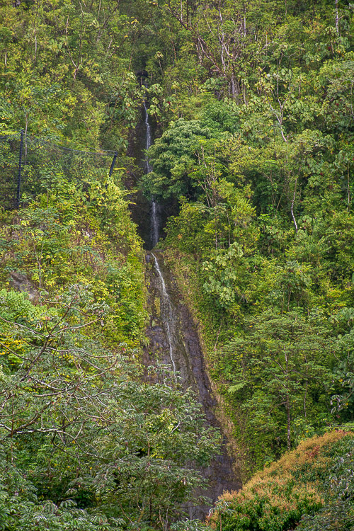 DSC_8296.jpg