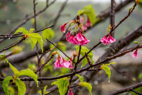 DSC_8897.jpg