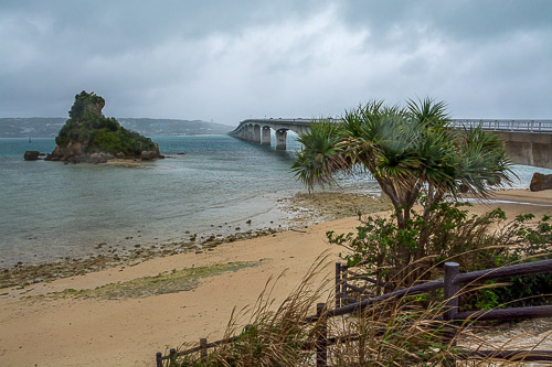 DSC_8938.jpg