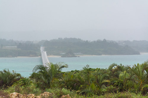 DSC_8944.jpg