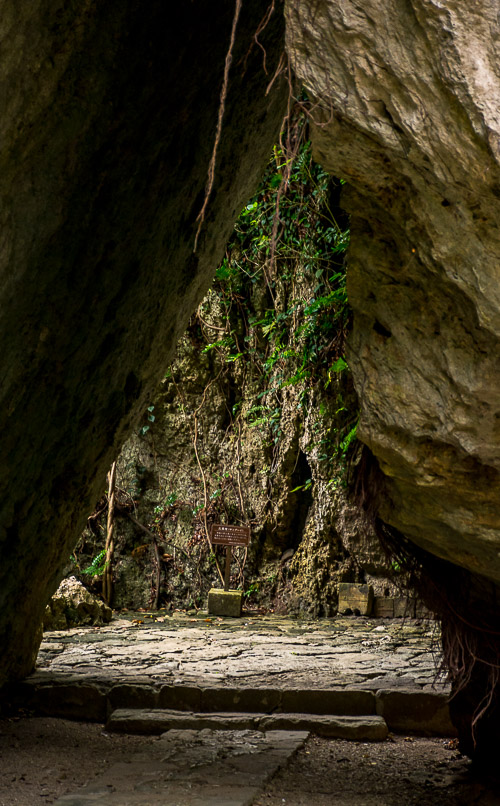 DSC_8994.jpg