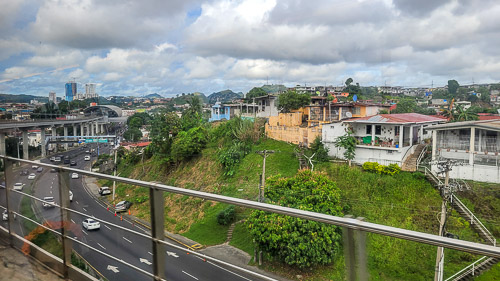 DSC_6290_20241112_093231.jpg