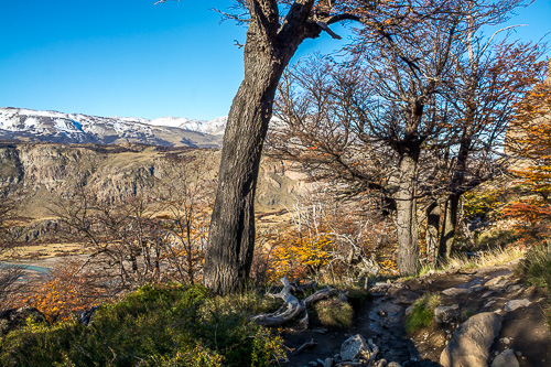 DSC_1746.jpg